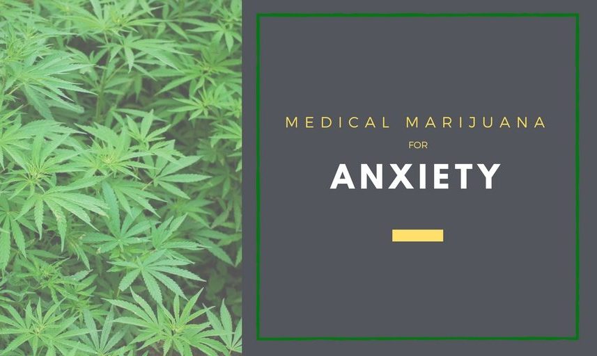 cannabis oil for anxiety